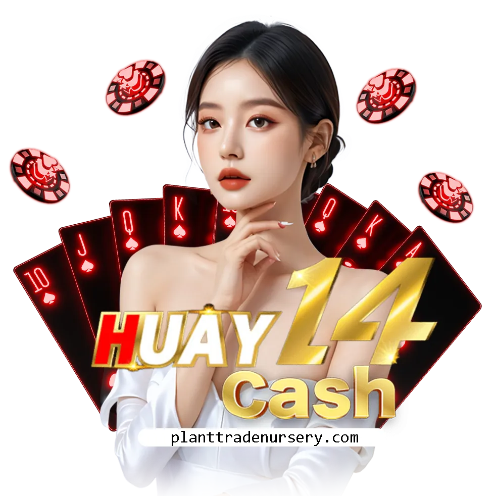 สมัคร huay14cash