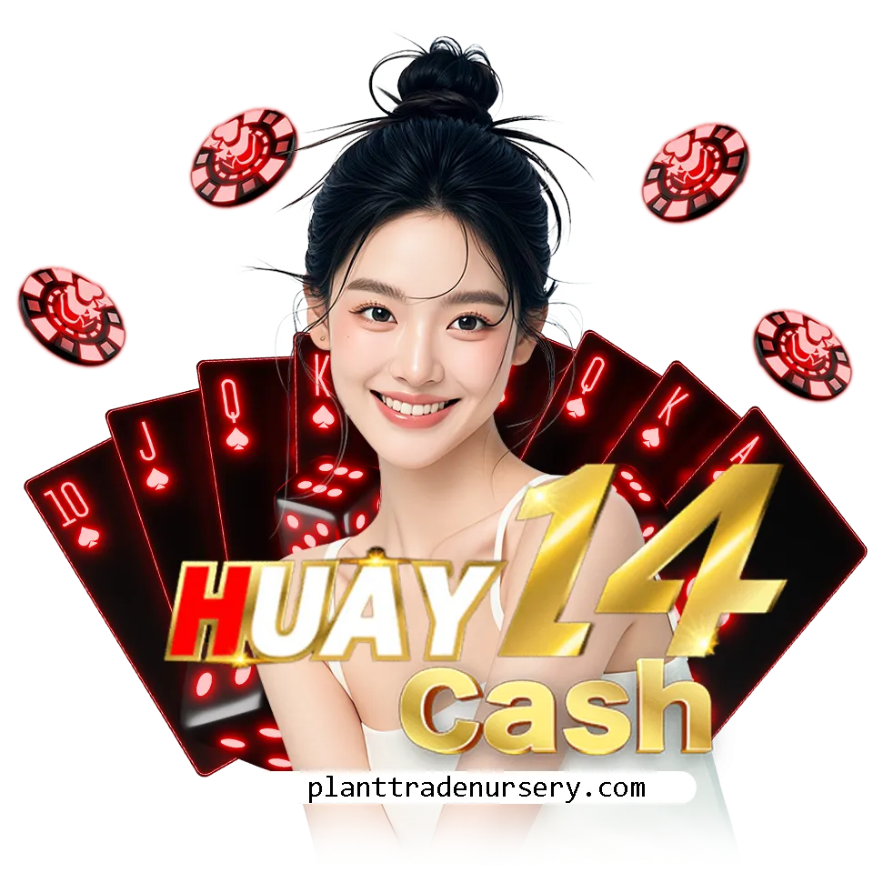 huay14cash แทงหวย