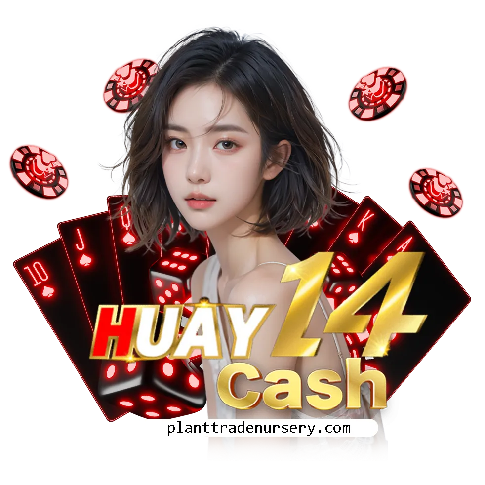 huay14cash