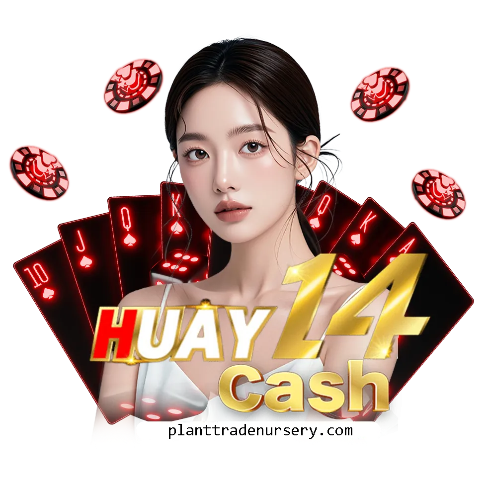 huay14bet